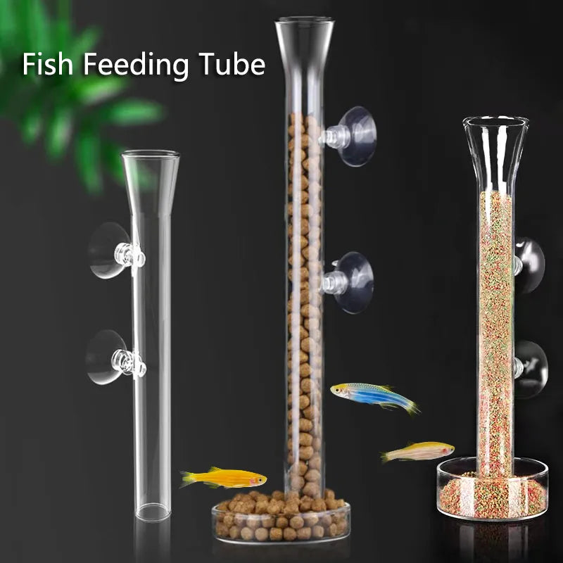 Elegant Glass Aquarium Feeding Accessories