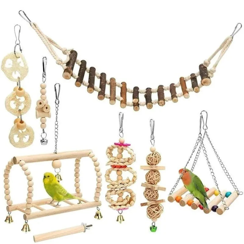 Feathered Fun Pack: 8 Varied Parrot Toys