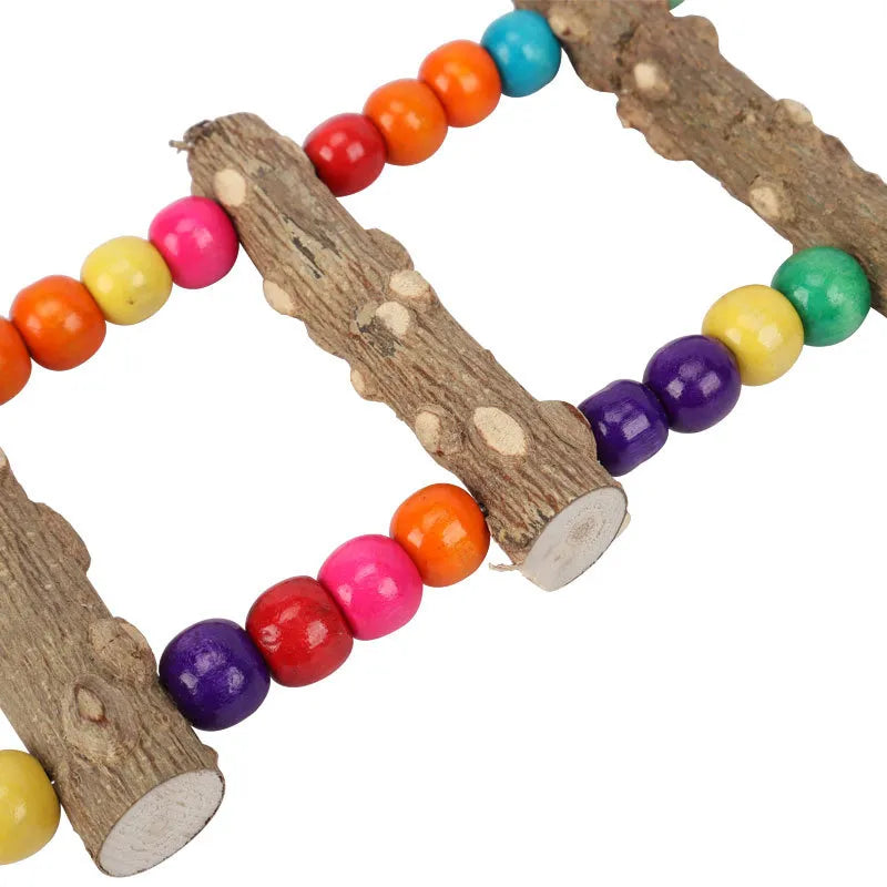 Colorful Perch PlayWood Ladder