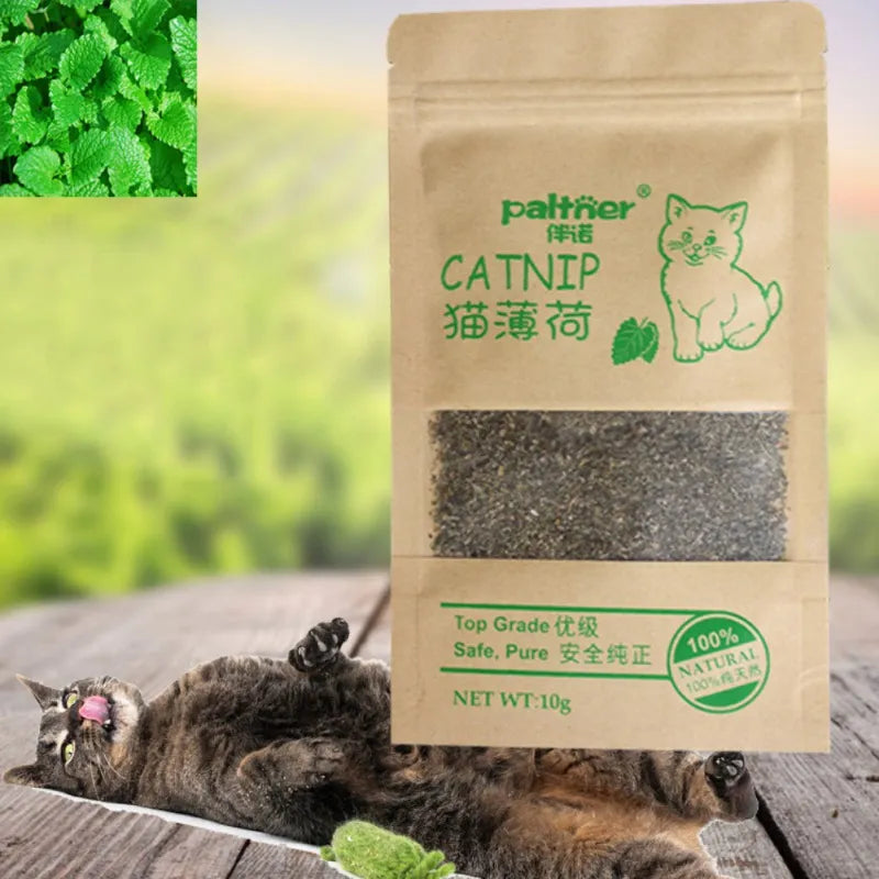 MeowMint Catnip Delight